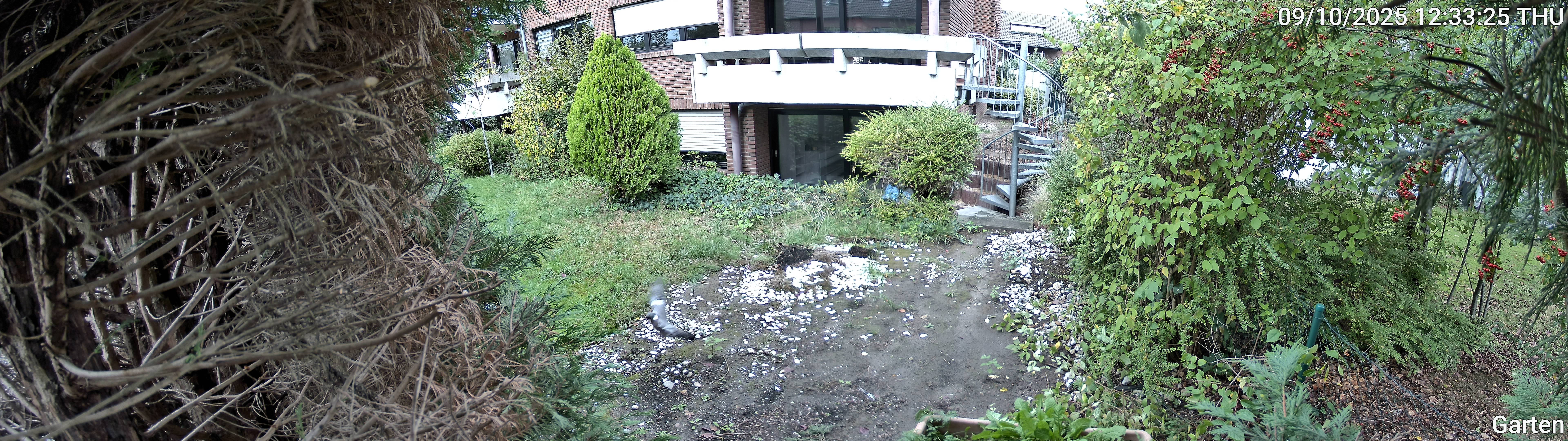 Garten_00_20251009123326.jpg