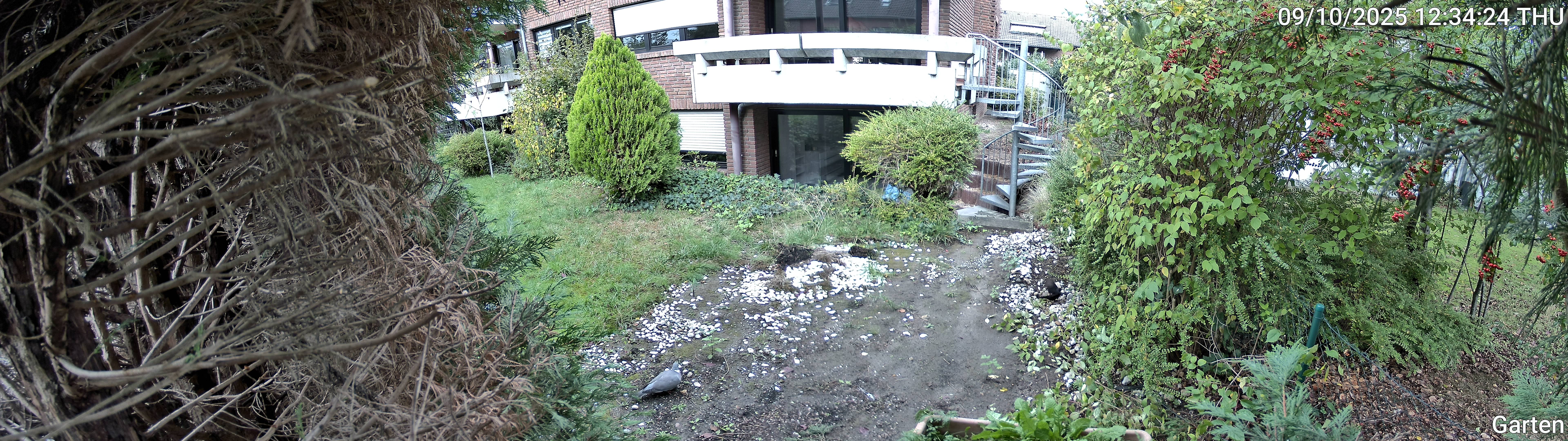 Garten_00_20251009123424.jpg