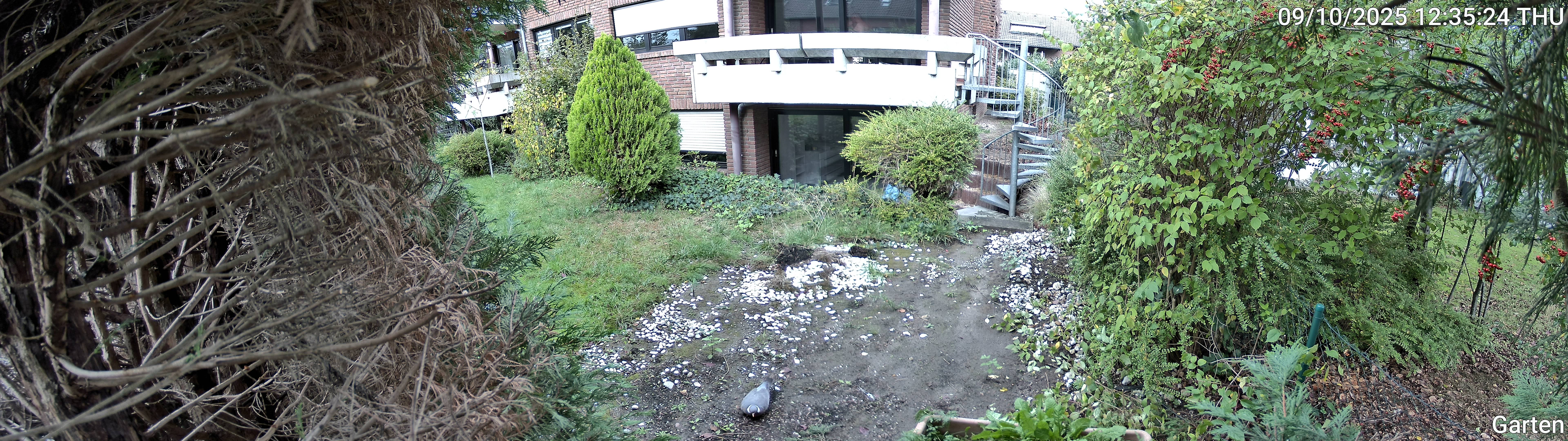 Garten_00_20251009123524.jpg