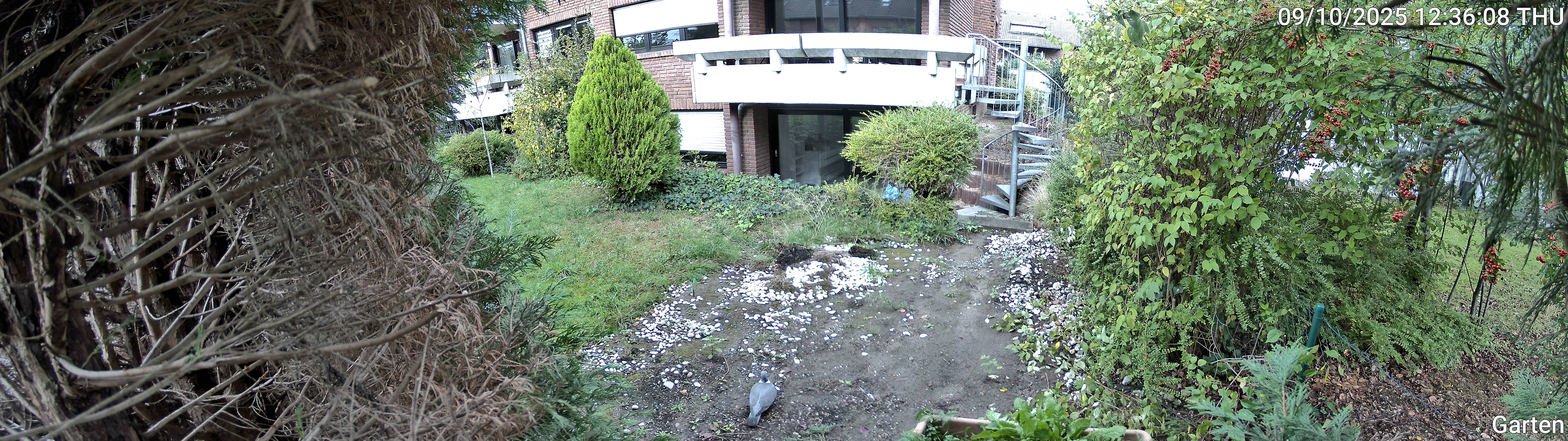 Garten_00_20251009123609.jpg