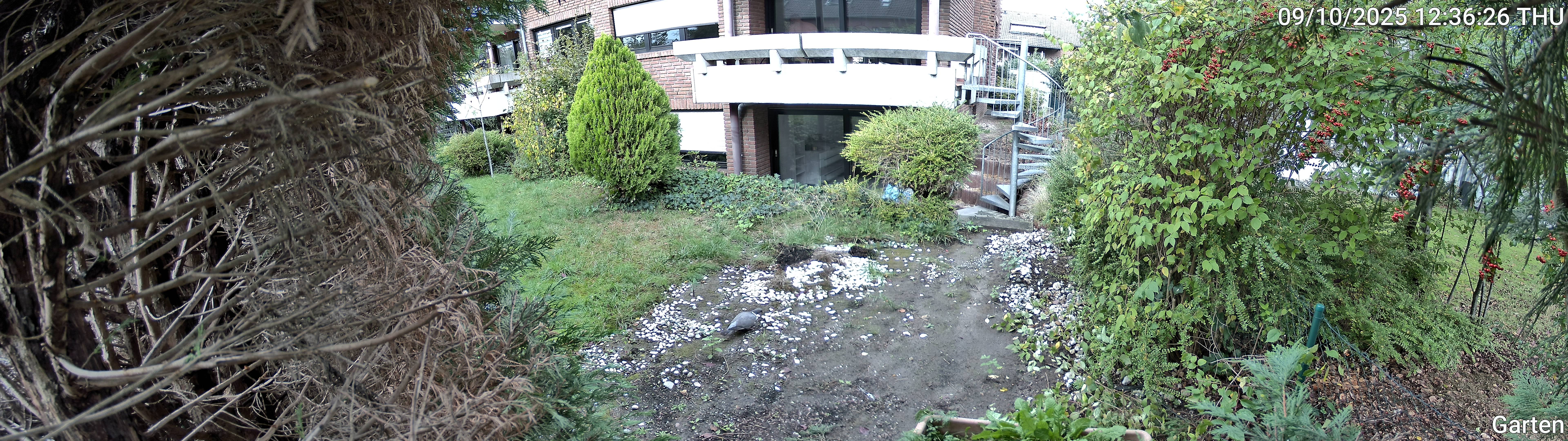 Garten_00_20251009123626.jpg