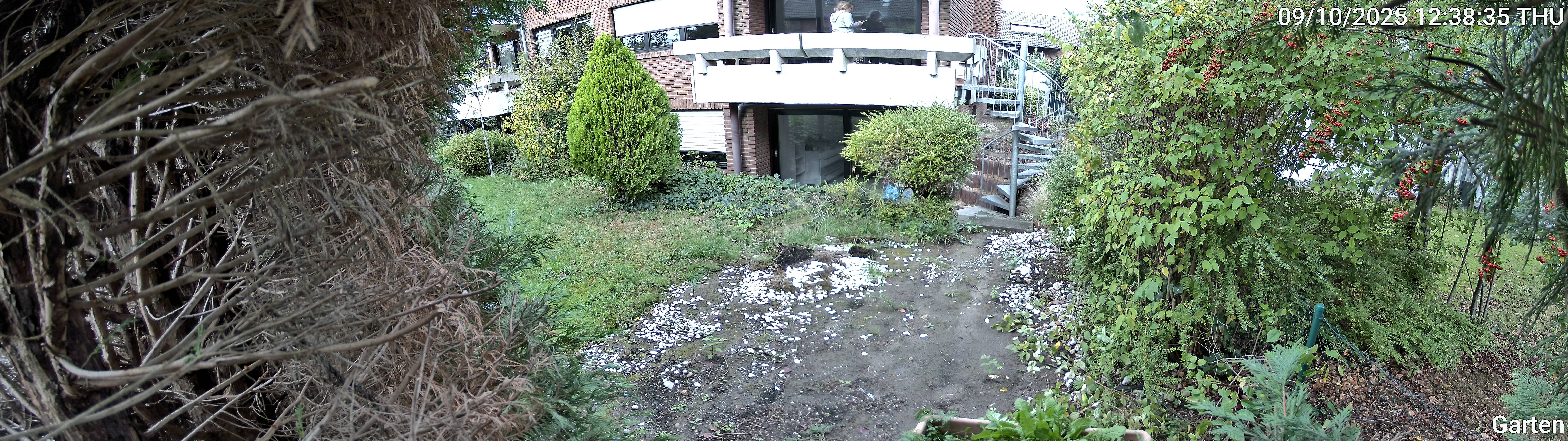 Garten_00_20251009123835.jpg