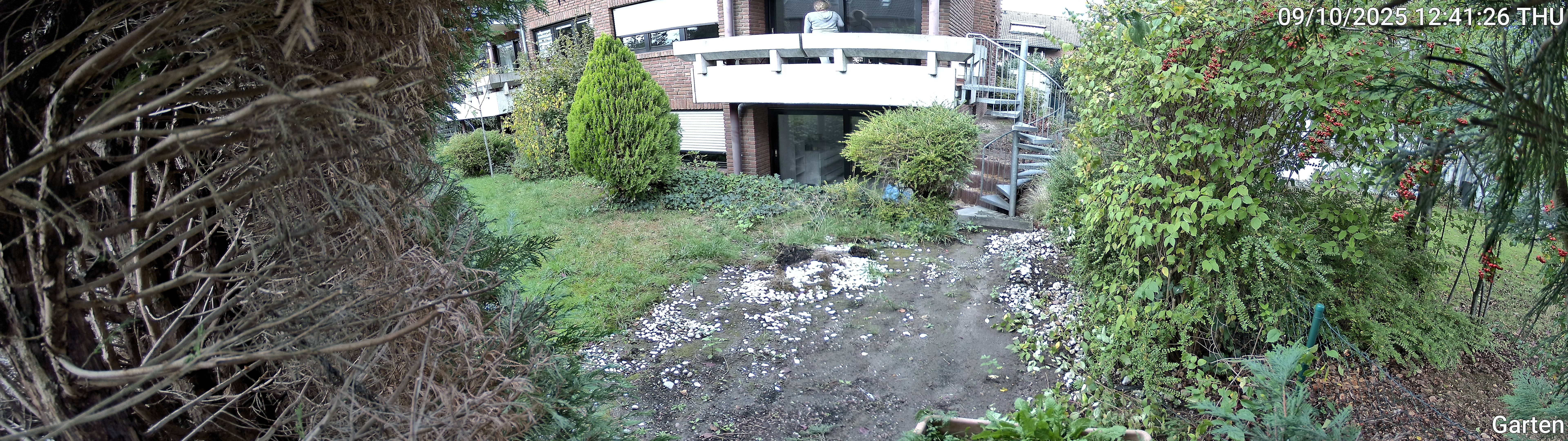 Garten_00_20251009124126.jpg