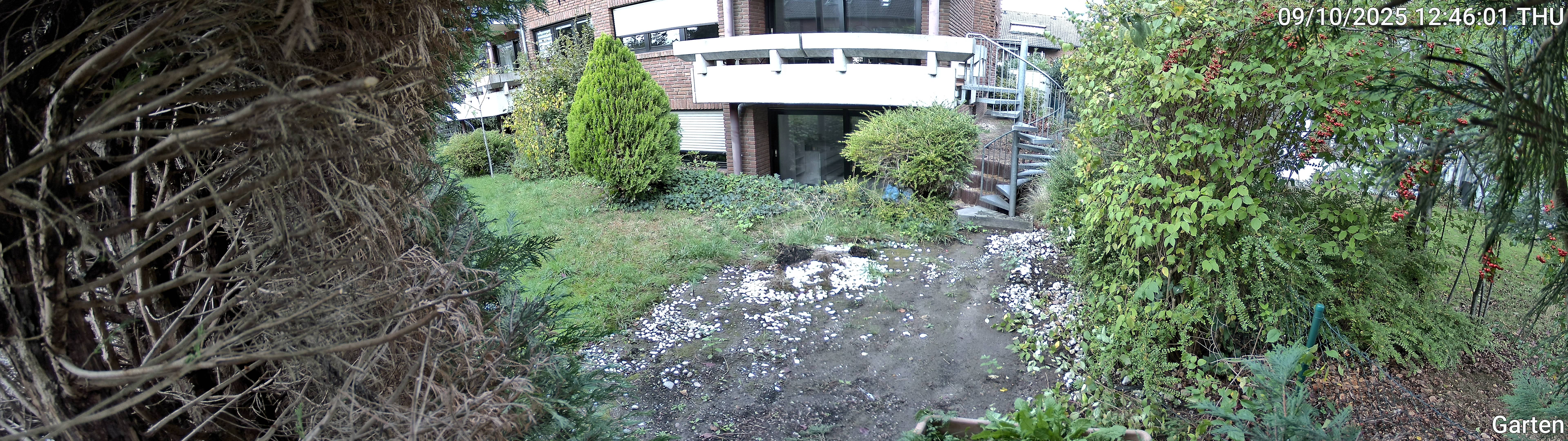 Garten_00_20251009124602.jpg