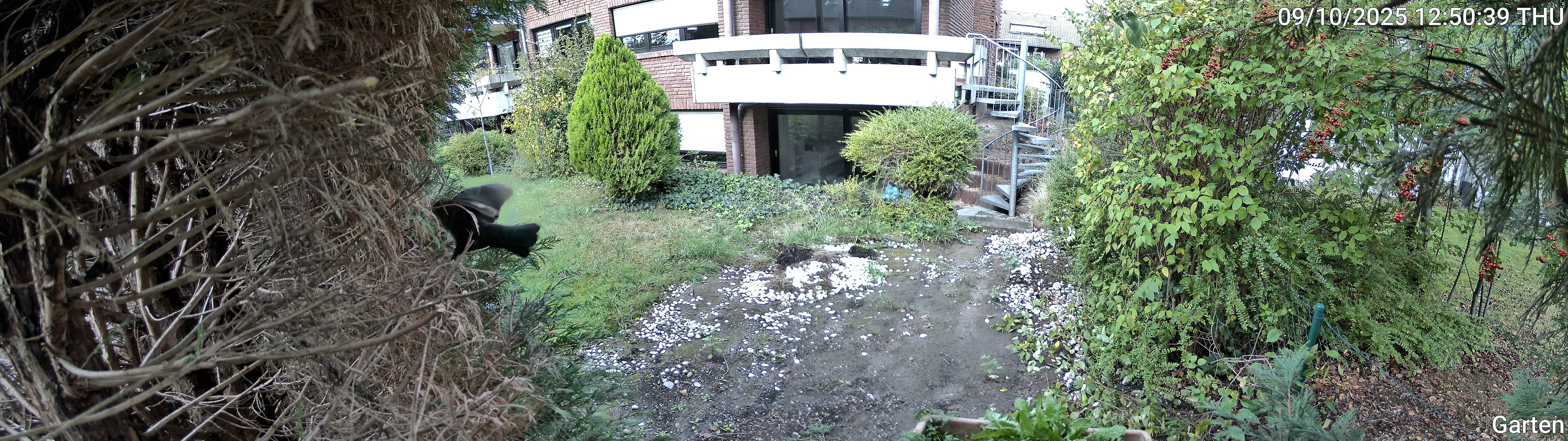 Garten_00_20251009125039.jpg
