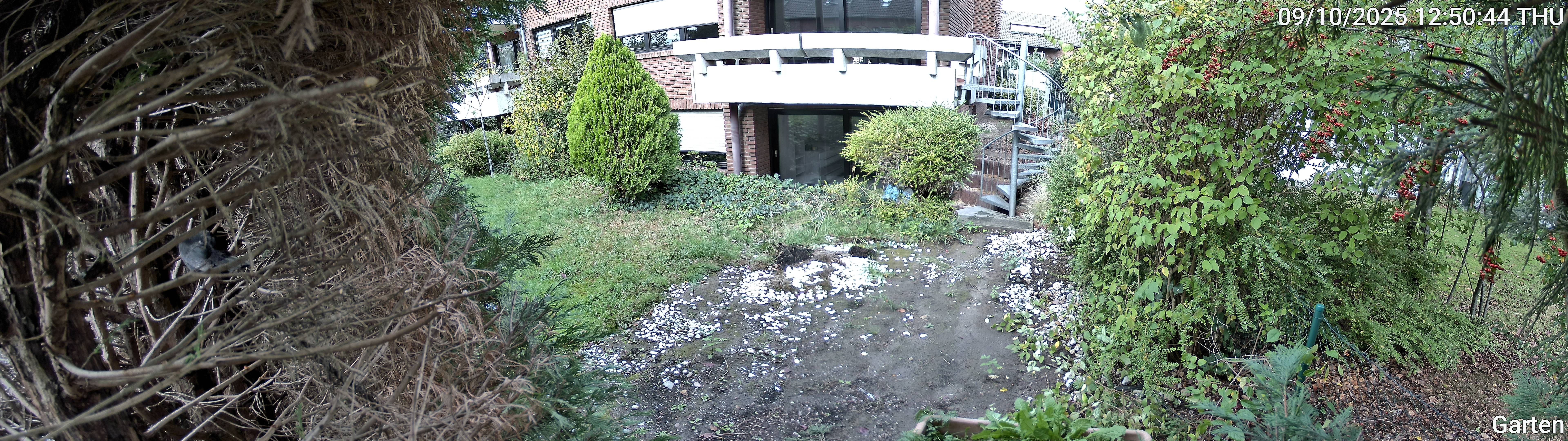 Garten_00_20251009125044.jpg