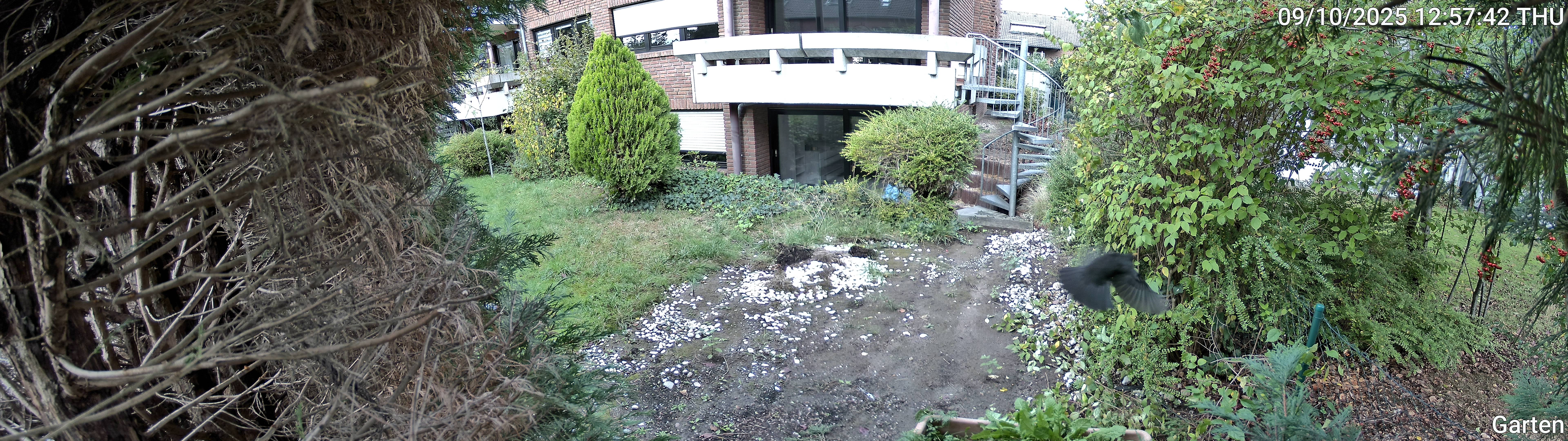 Garten_00_20251009125742.jpg