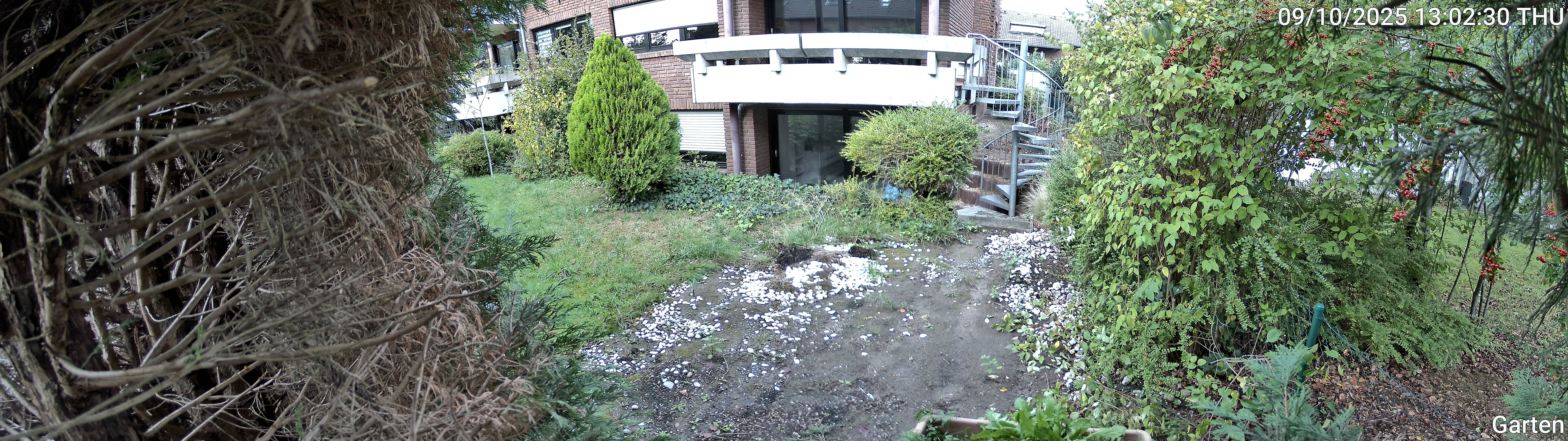 Garten_00_20251009130230.jpg