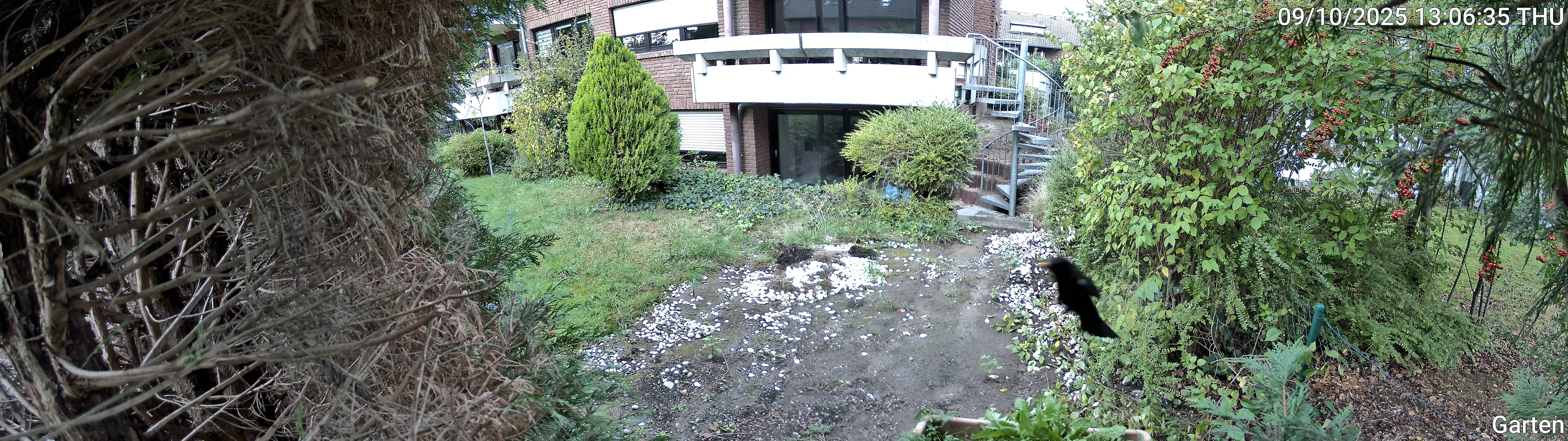 Garten_00_20251009130635.jpg