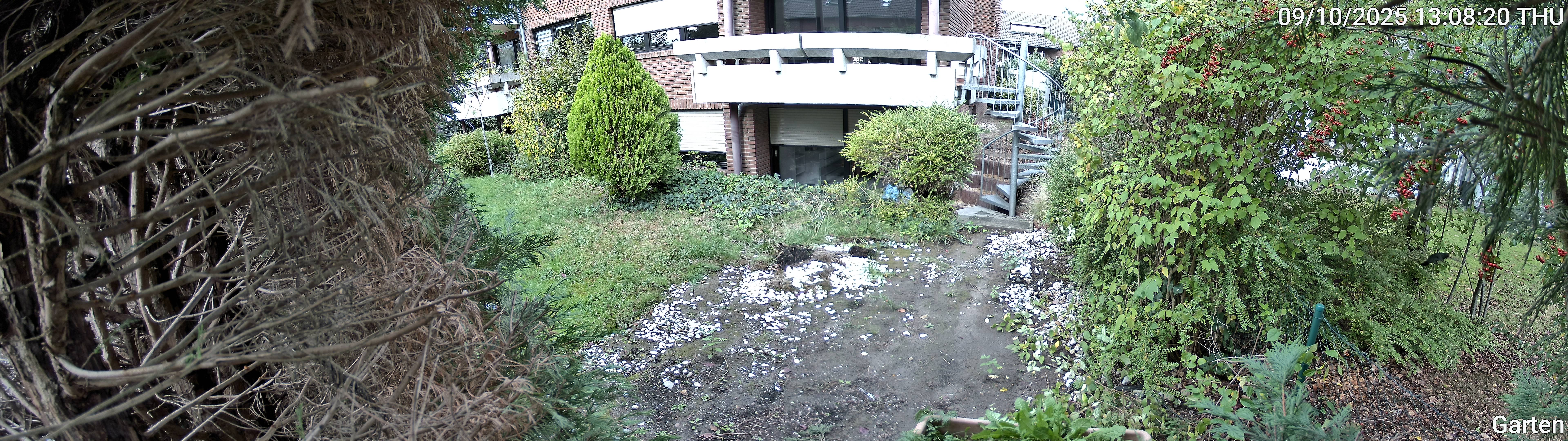 Garten_00_20251009130820.jpg
