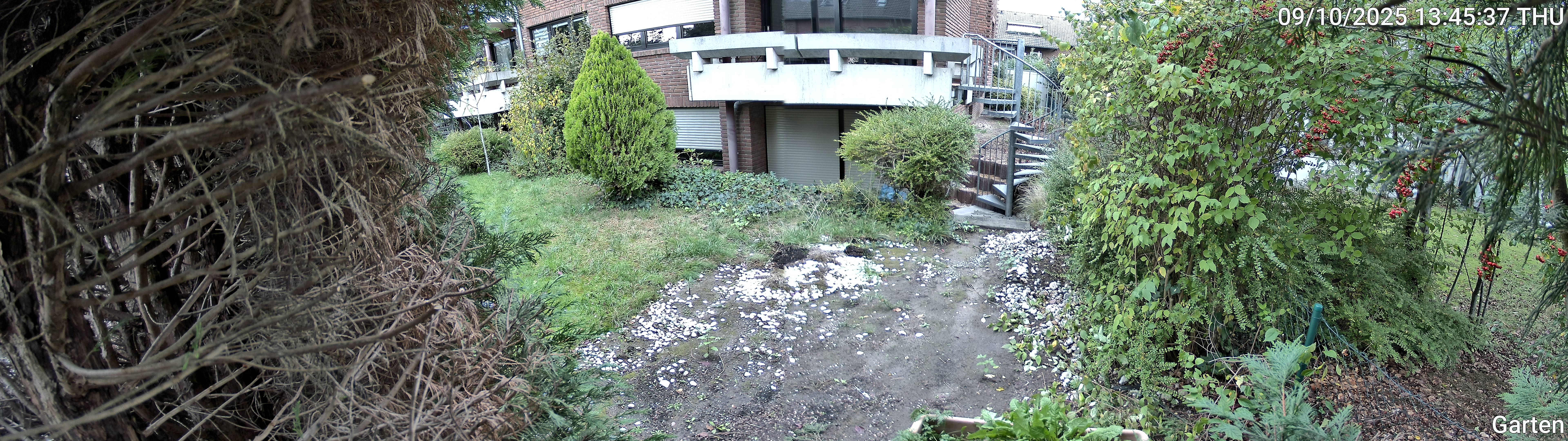 Garten_00_20251009134537.jpg