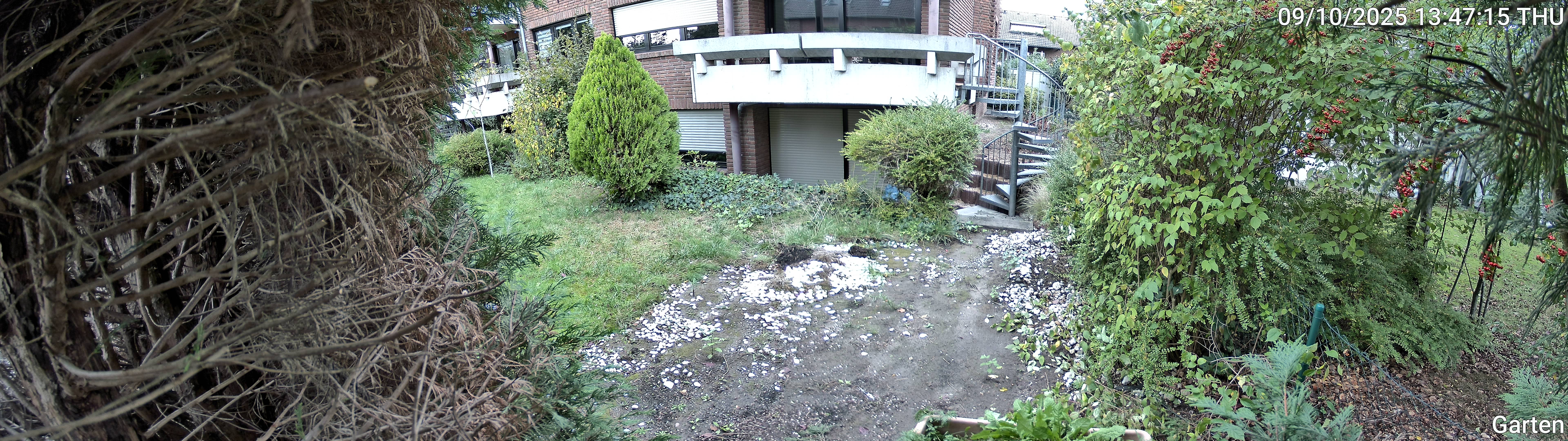Garten_00_20251009134715.jpg
