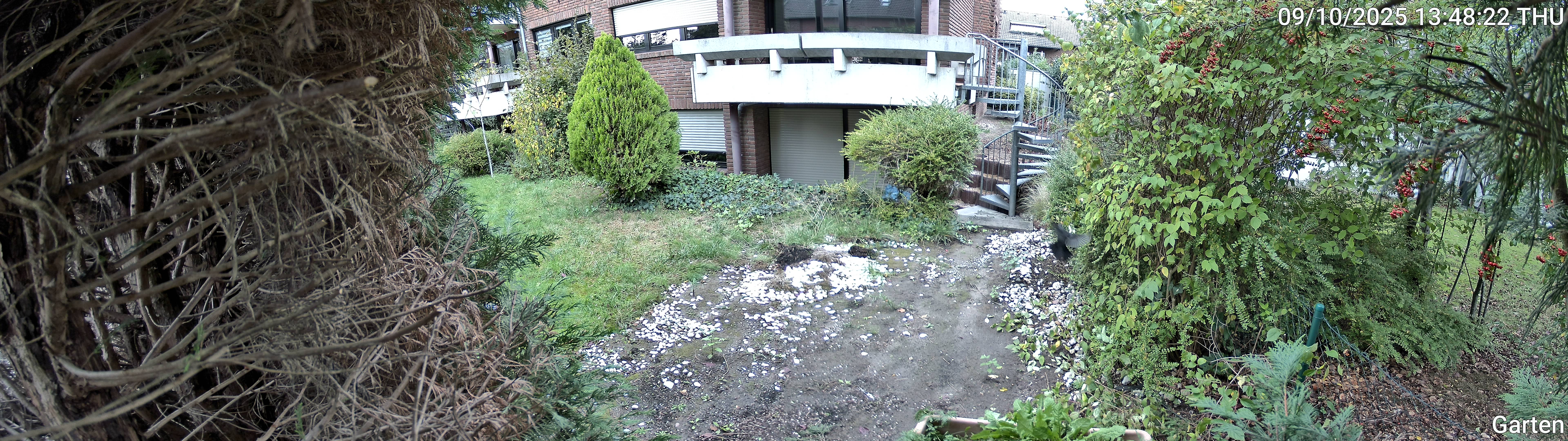 Garten_00_20251009134822.jpg