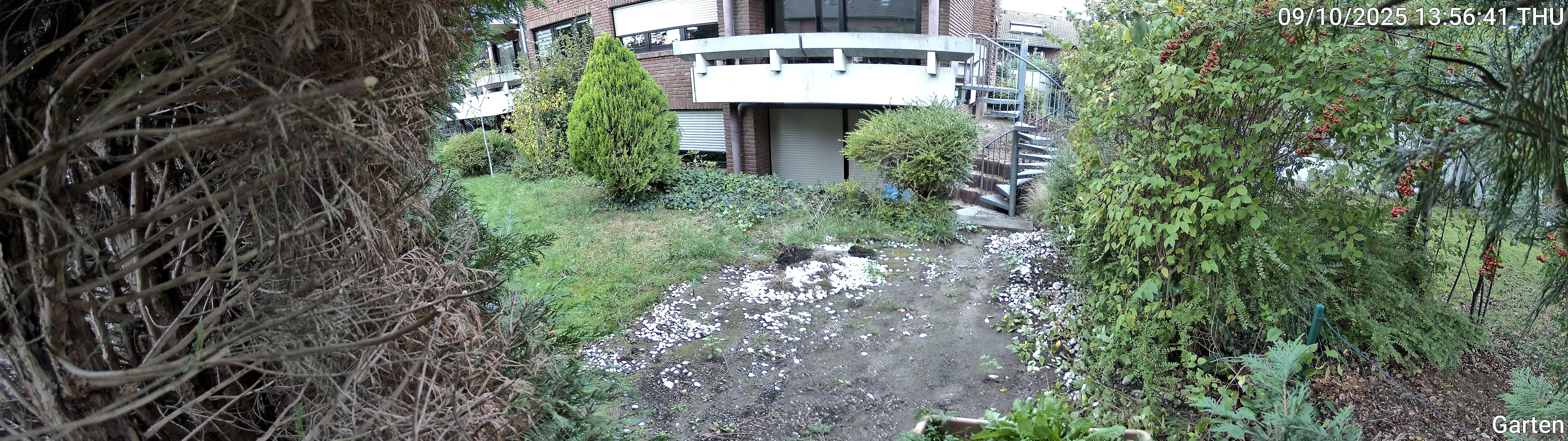 Garten_00_20251009135641.jpg