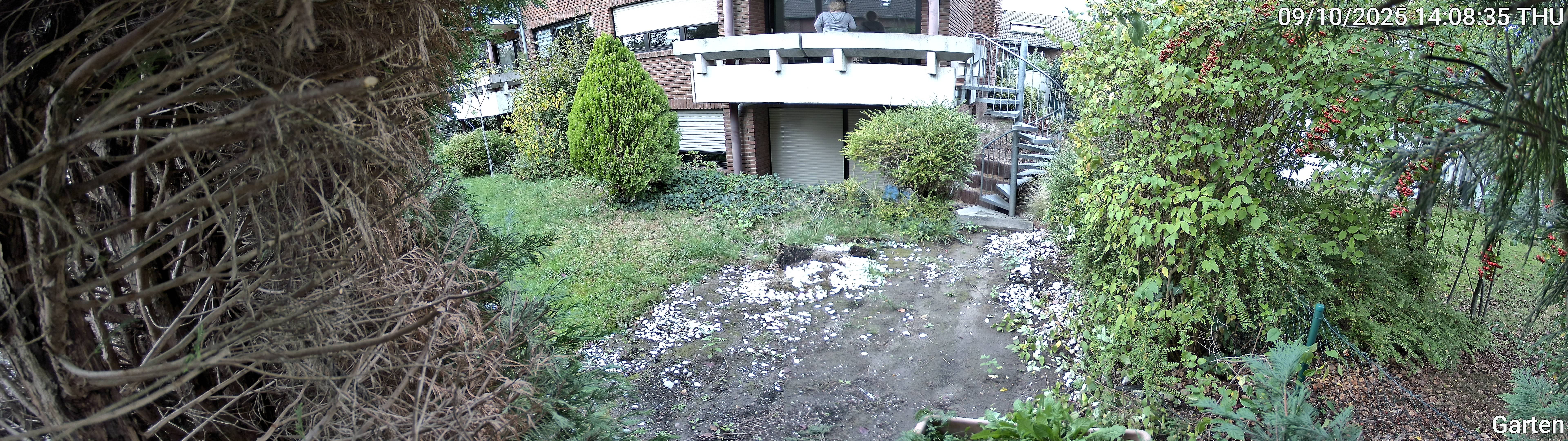Garten_00_20251009140835.jpg