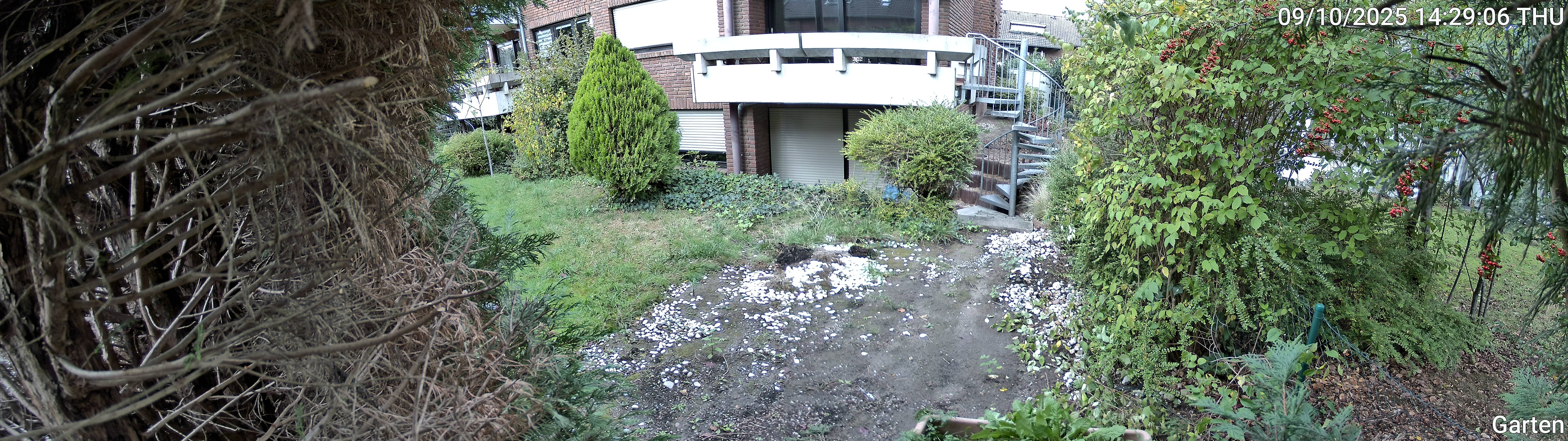 Garten_00_20251009142906.jpg
