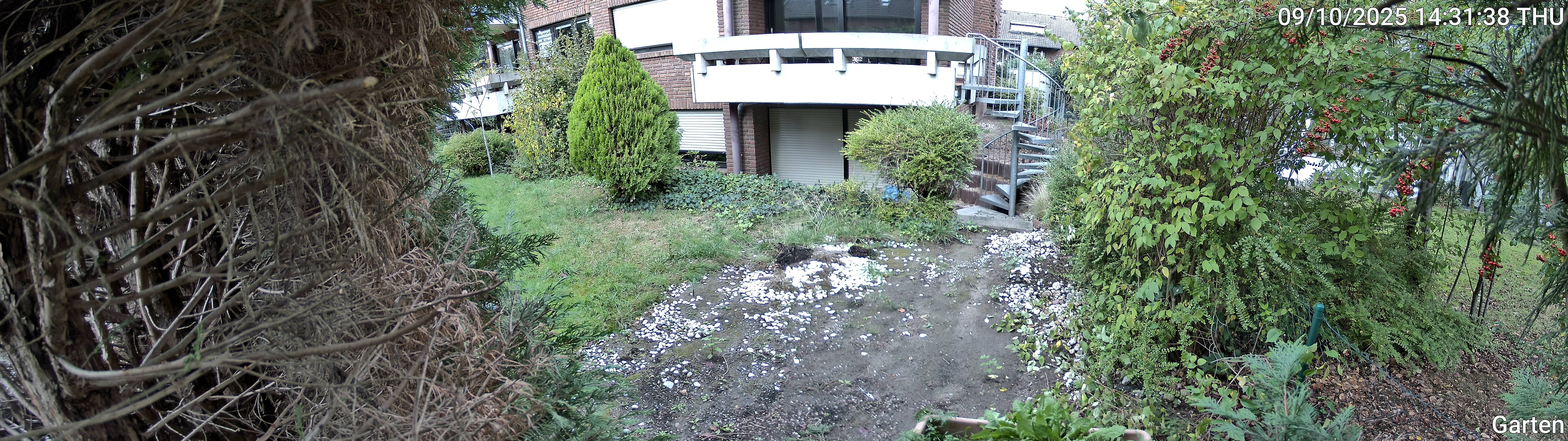 Garten_00_20251009143138.jpg