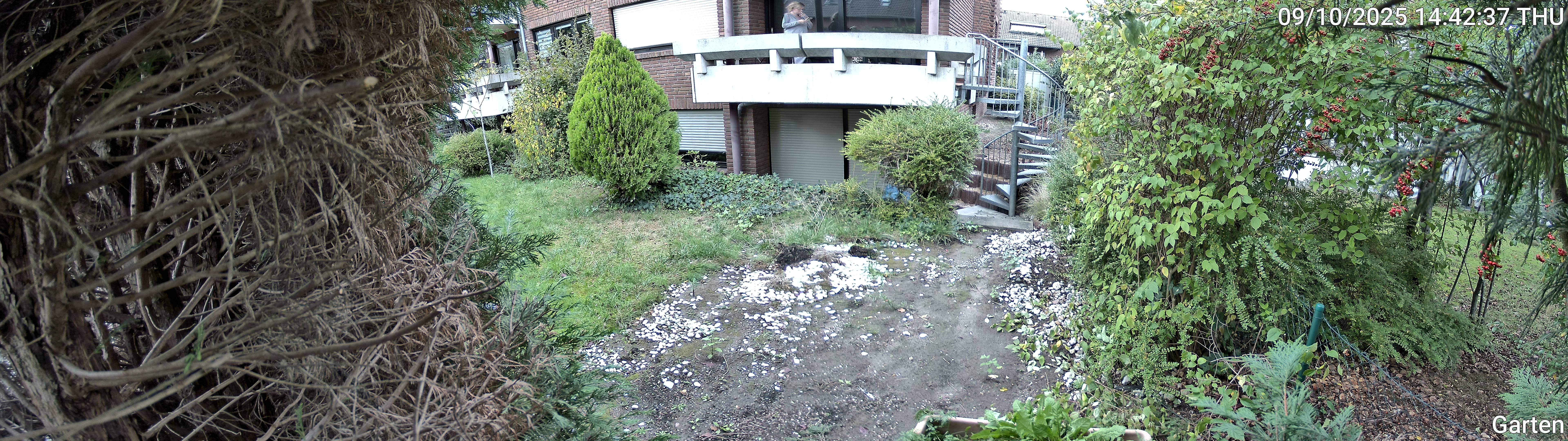 Garten_00_20251009144238.jpg