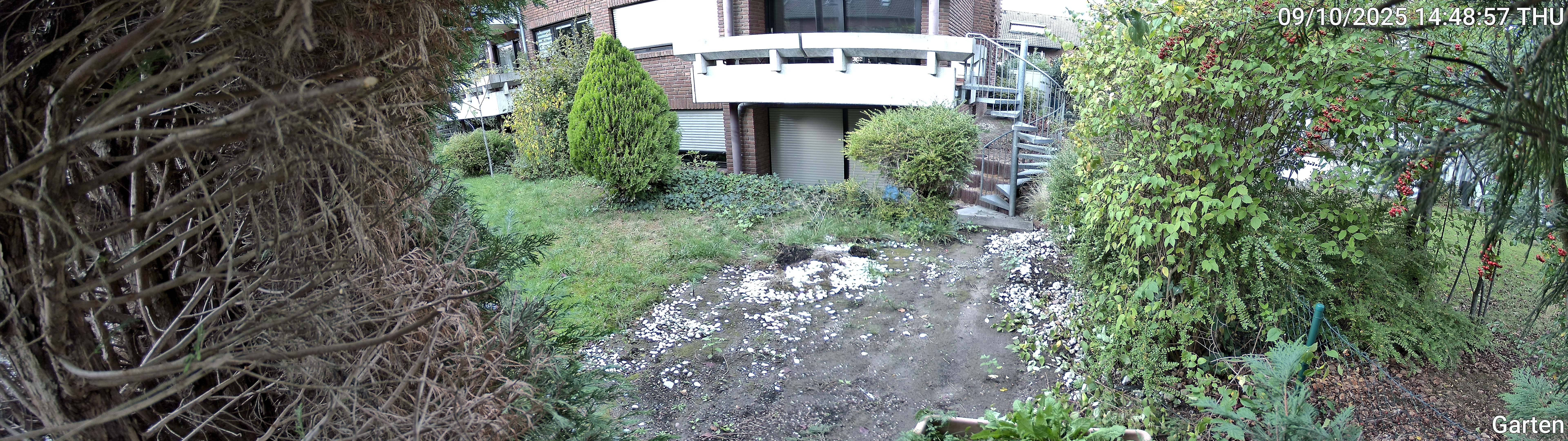 Garten_00_20251009144857.jpg