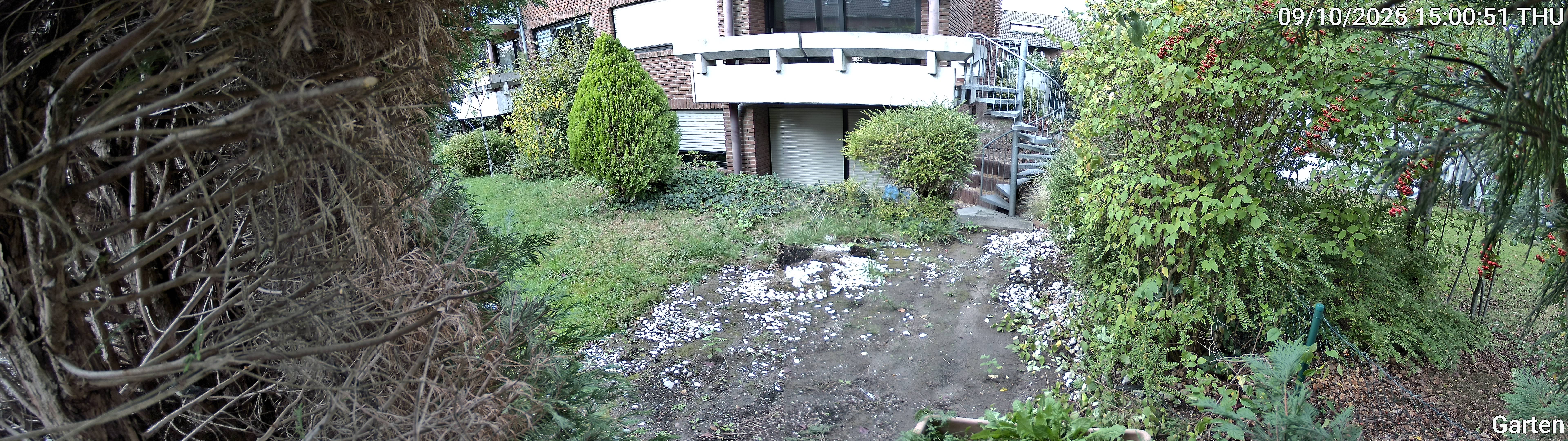 Garten_00_20251009150051.jpg
