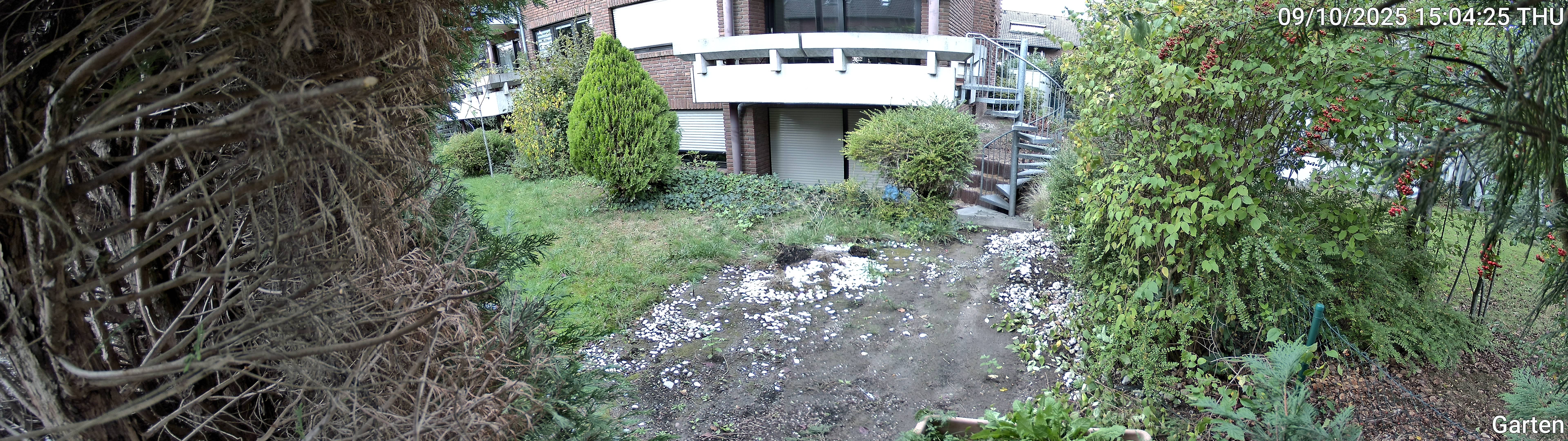 Garten_00_20251009150425.jpg