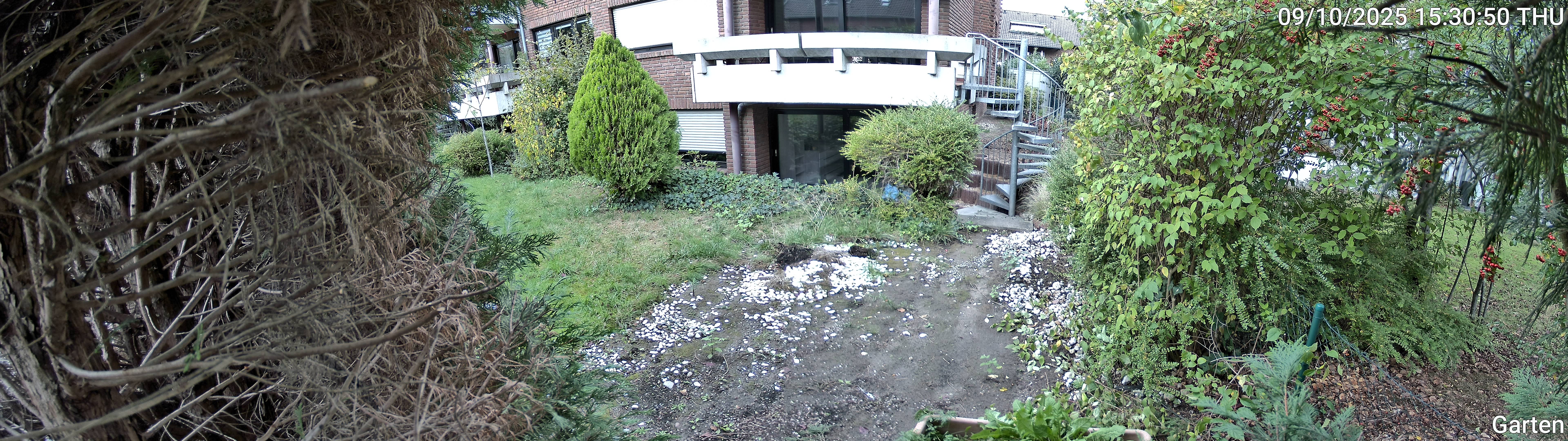 Garten_00_20251009153051.jpg