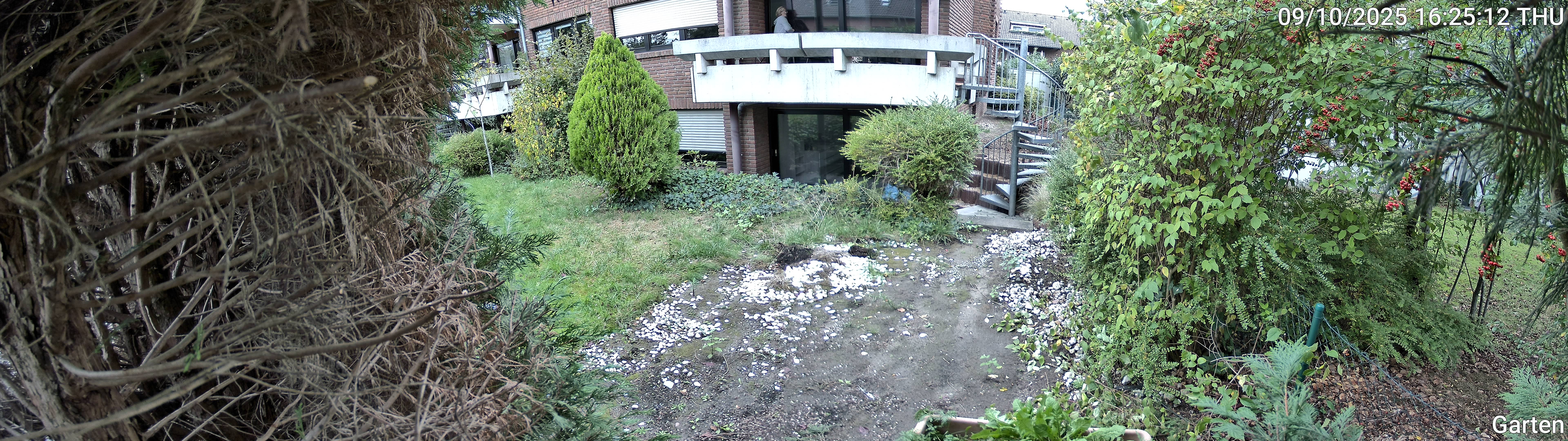 Garten_00_20251009162512.jpg