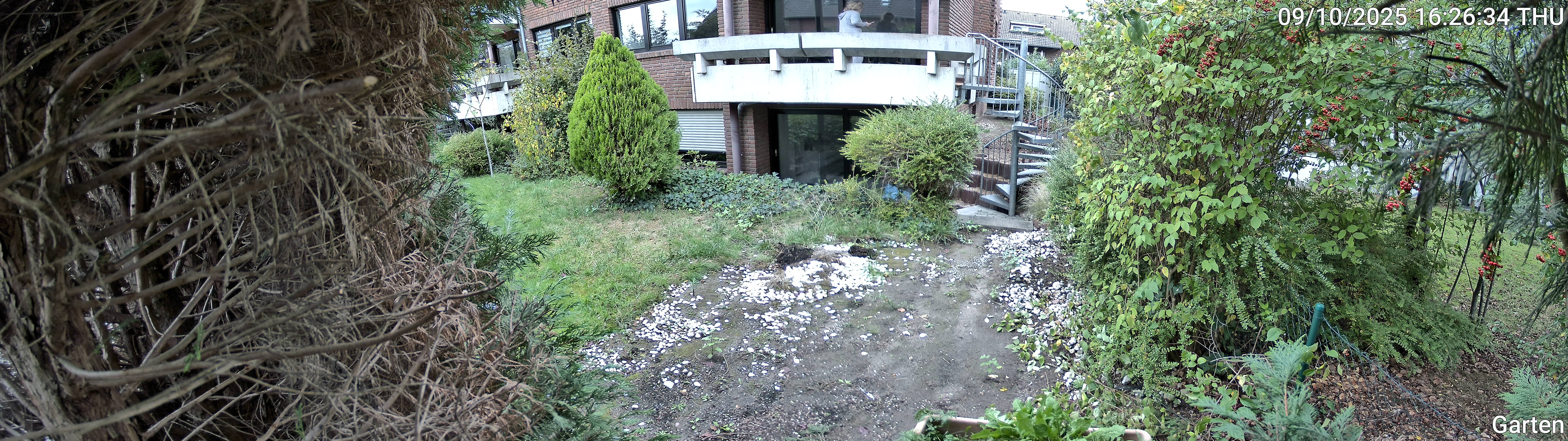 Garten_00_20251009162634.jpg