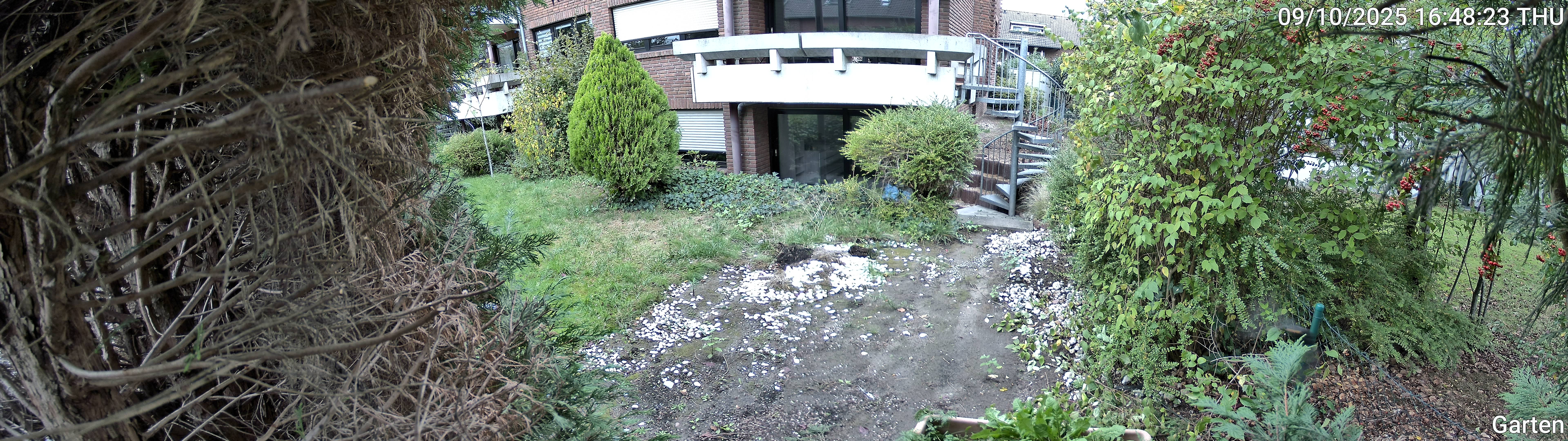Garten_00_20251009164823.jpg