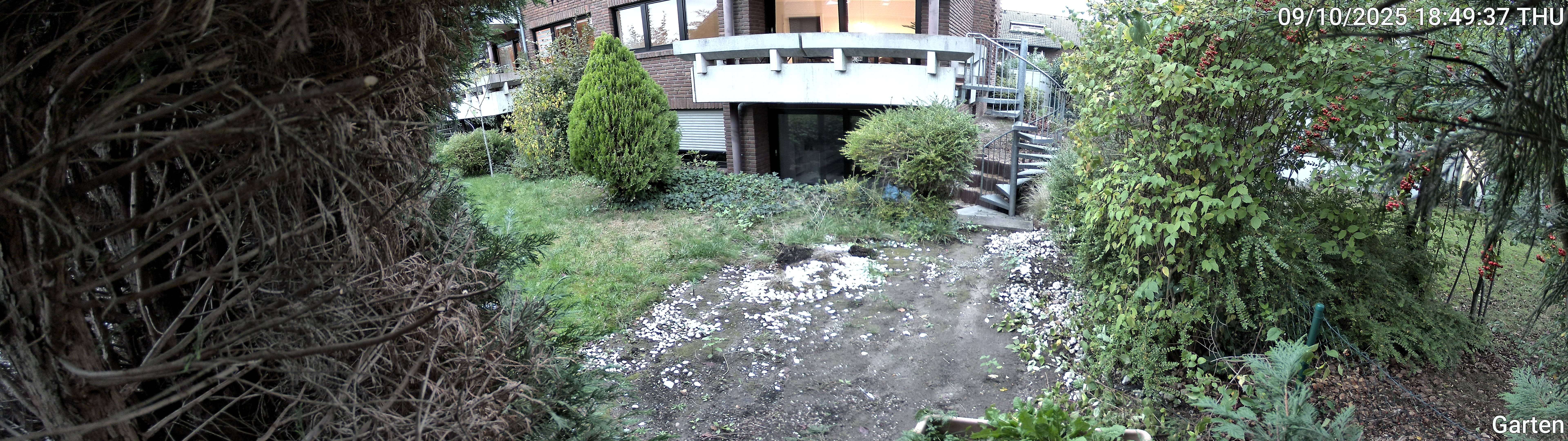 Garten_00_20251009184937.jpg