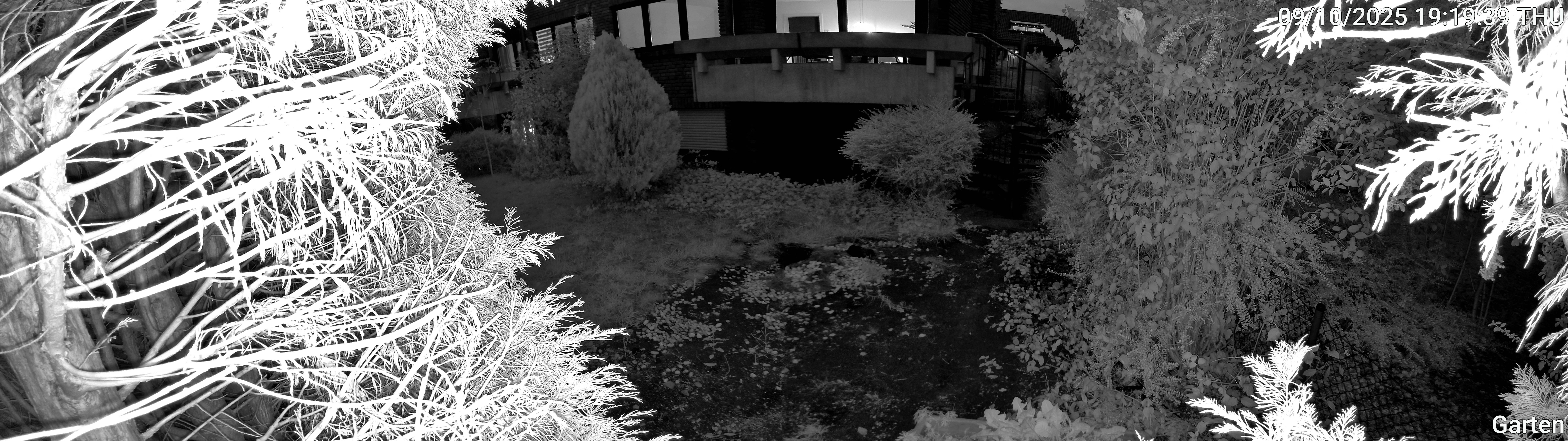 Garten_00_20251009191939.jpg