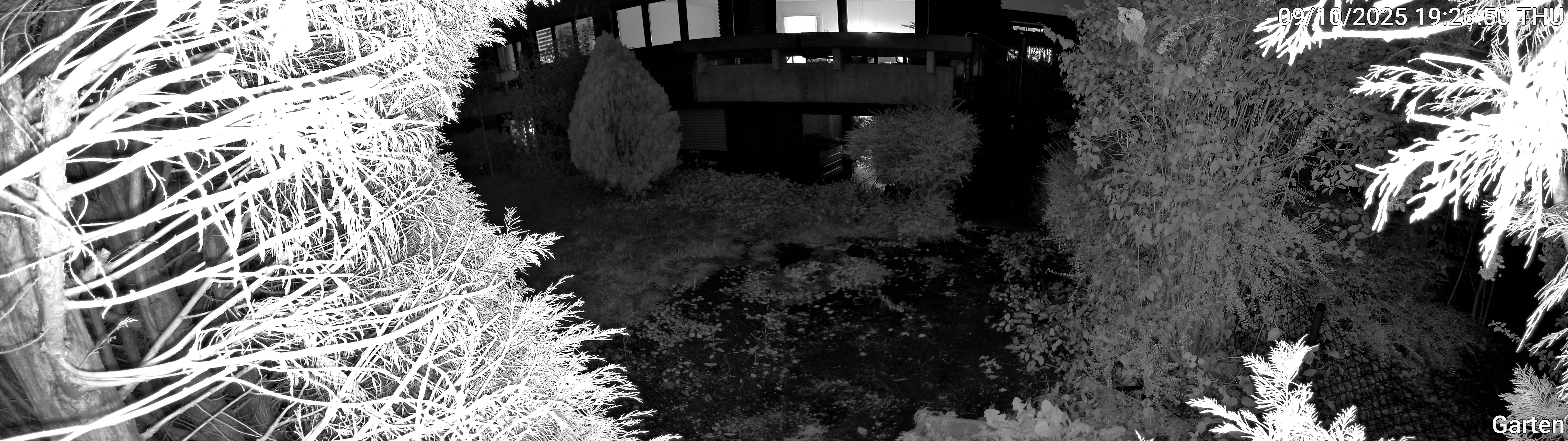 Garten_00_20251009192650.jpg