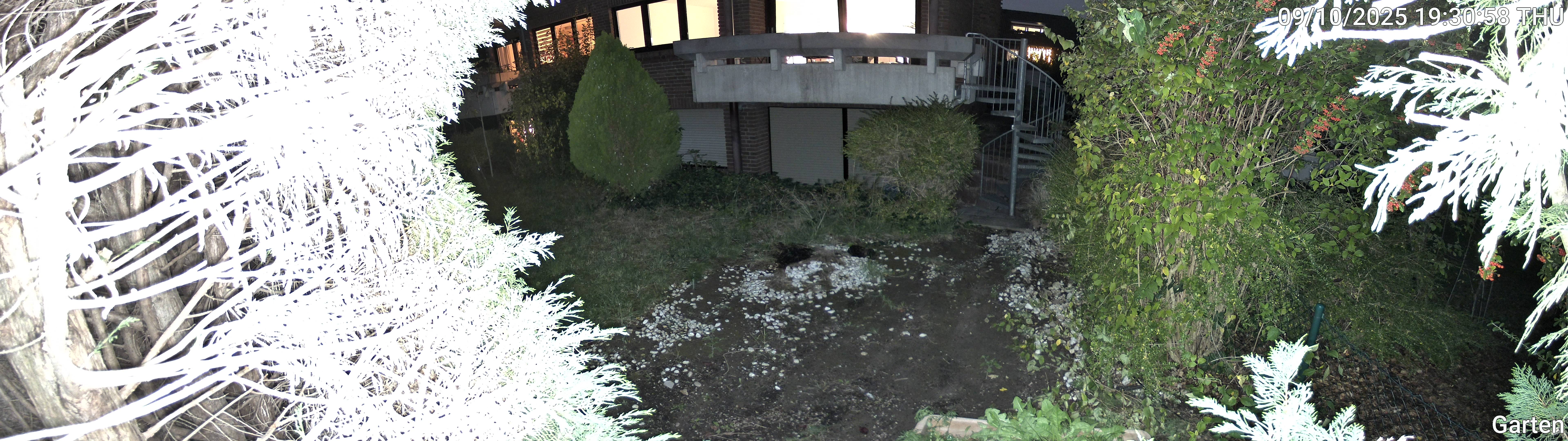 Garten_00_20251009193058.jpg