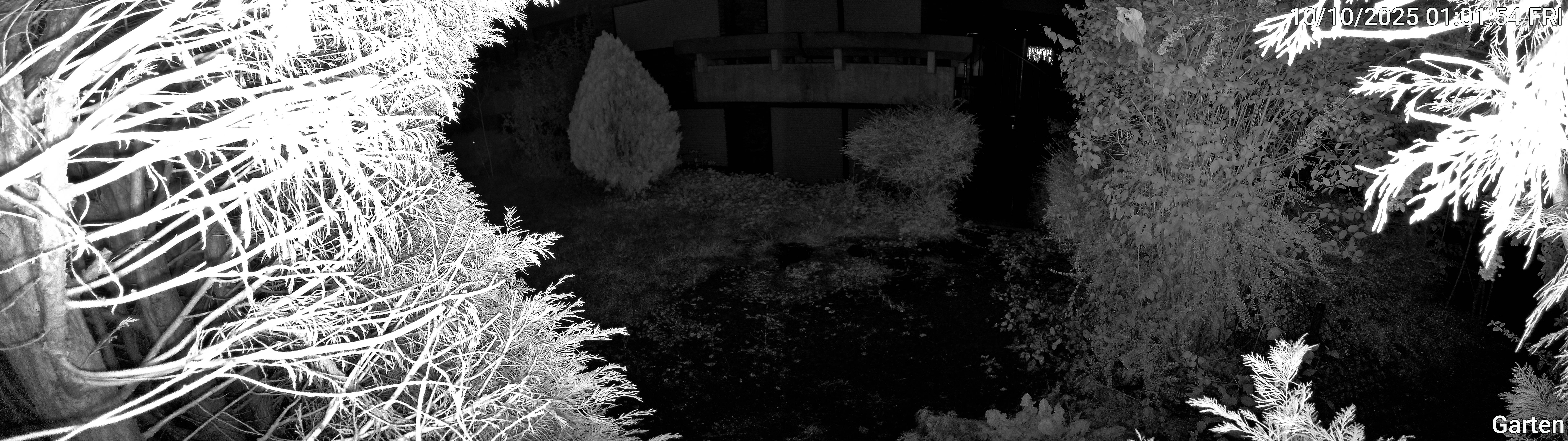 Garten_00_20251010010155.jpg