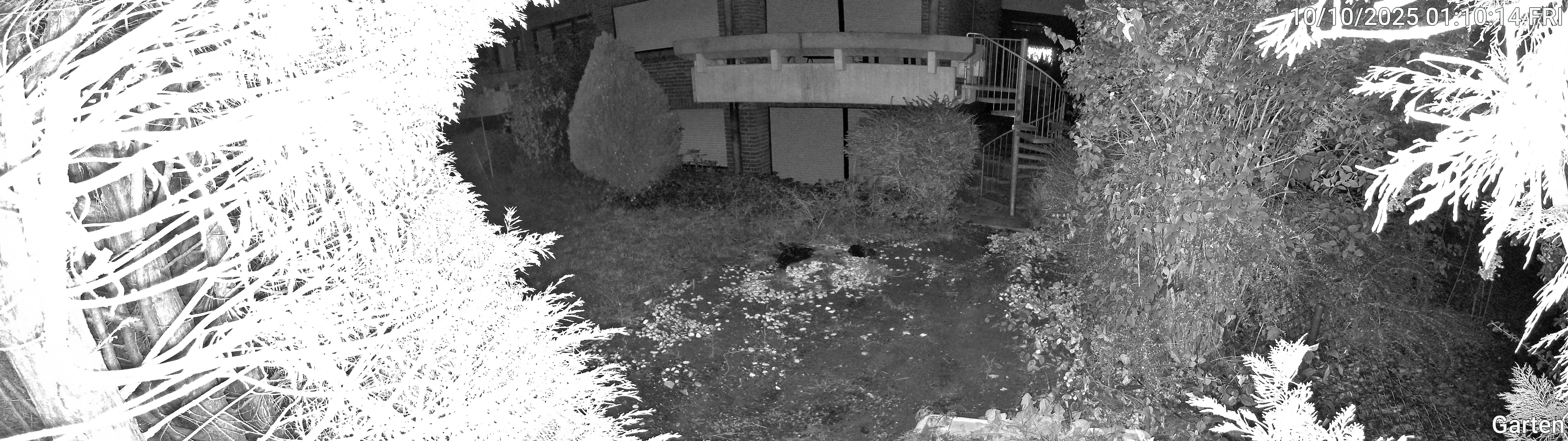 Garten_00_20251010011014.jpg