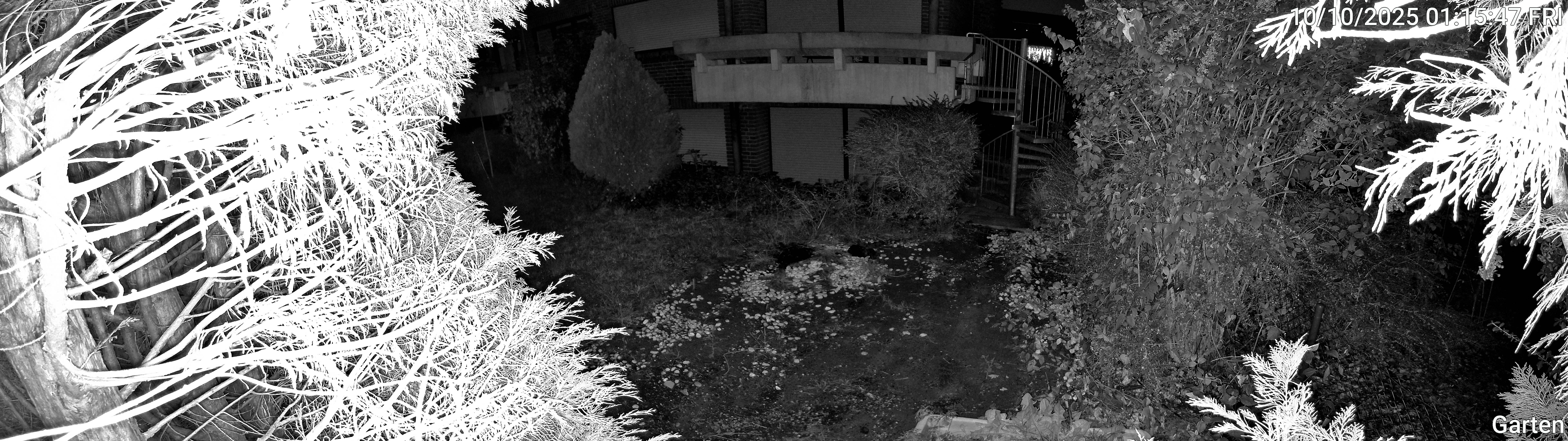 Garten_00_20251010011548.jpg