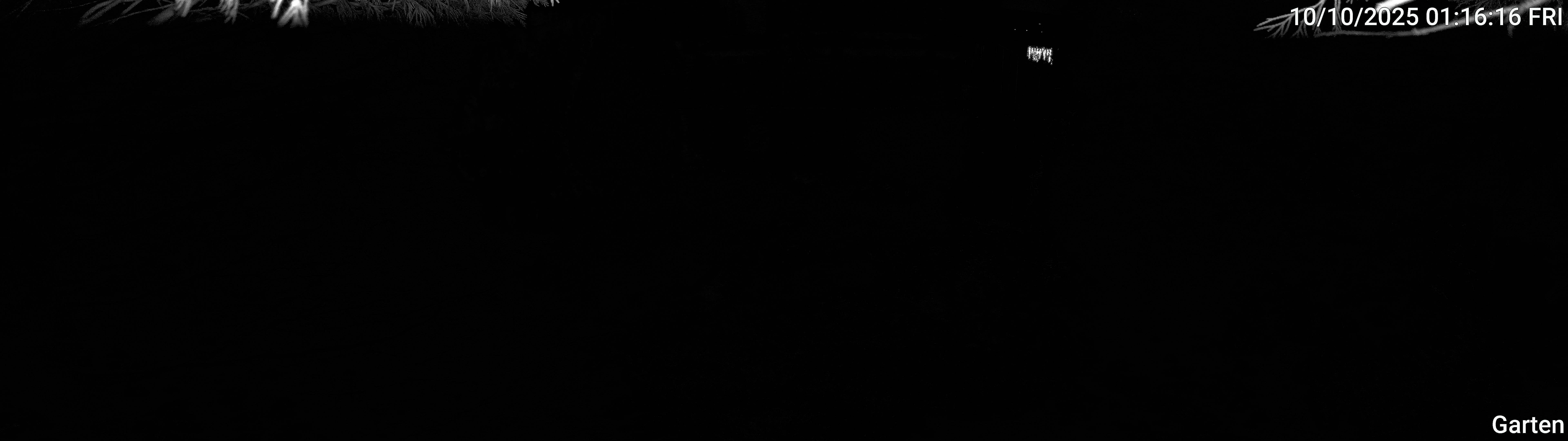 Garten_00_20251010011616.jpg