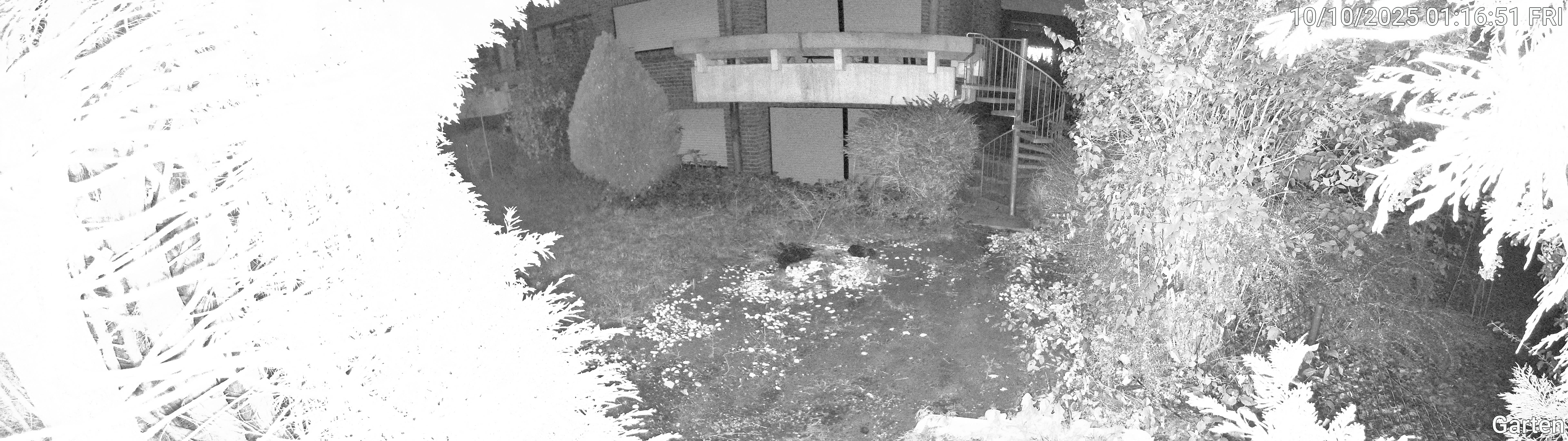 Garten_00_20251010011651.jpg