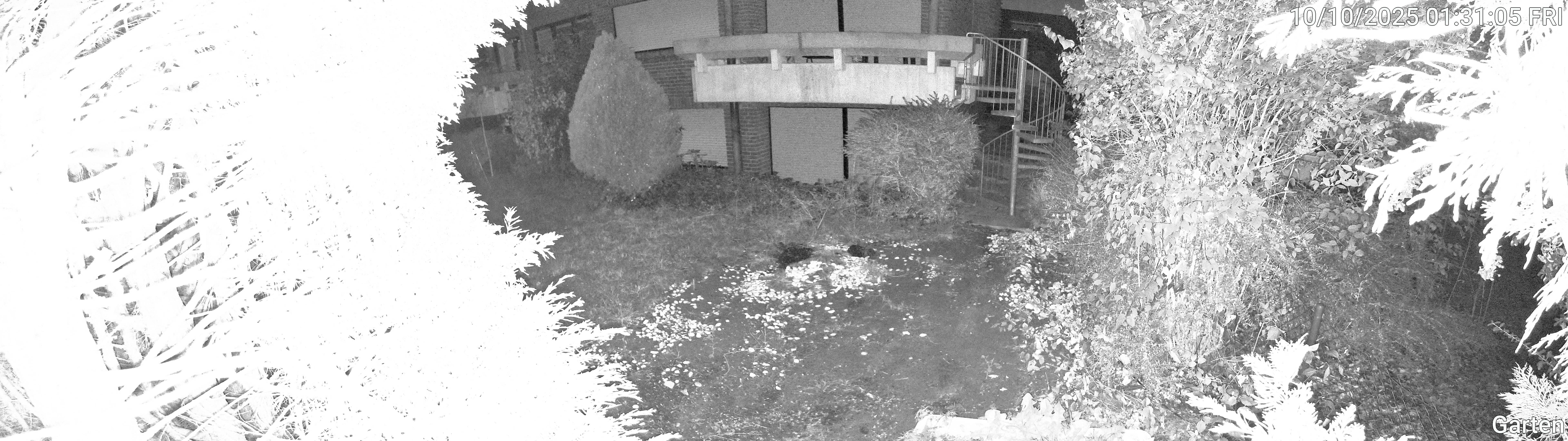 Garten_00_20251010013105.jpg