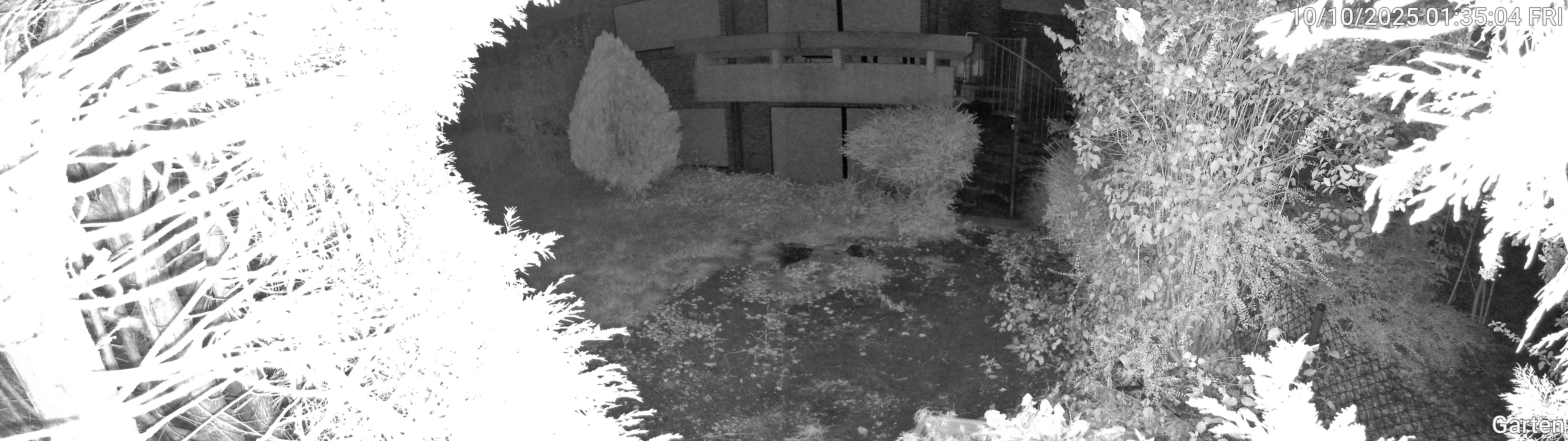 Garten_00_20251010013504.jpg