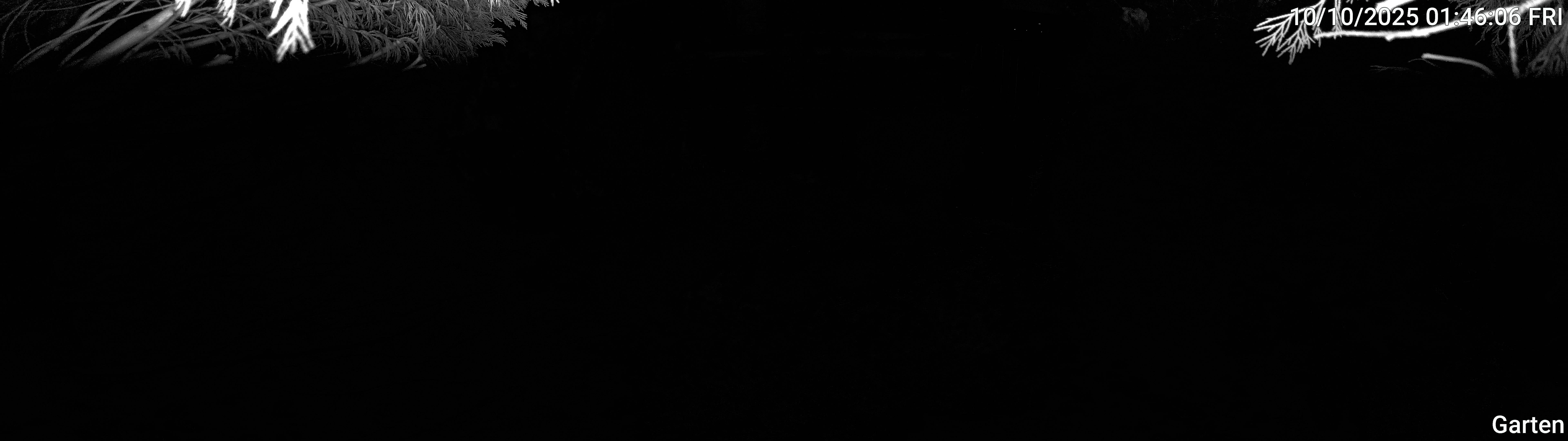 Garten_00_20251010014606.jpg