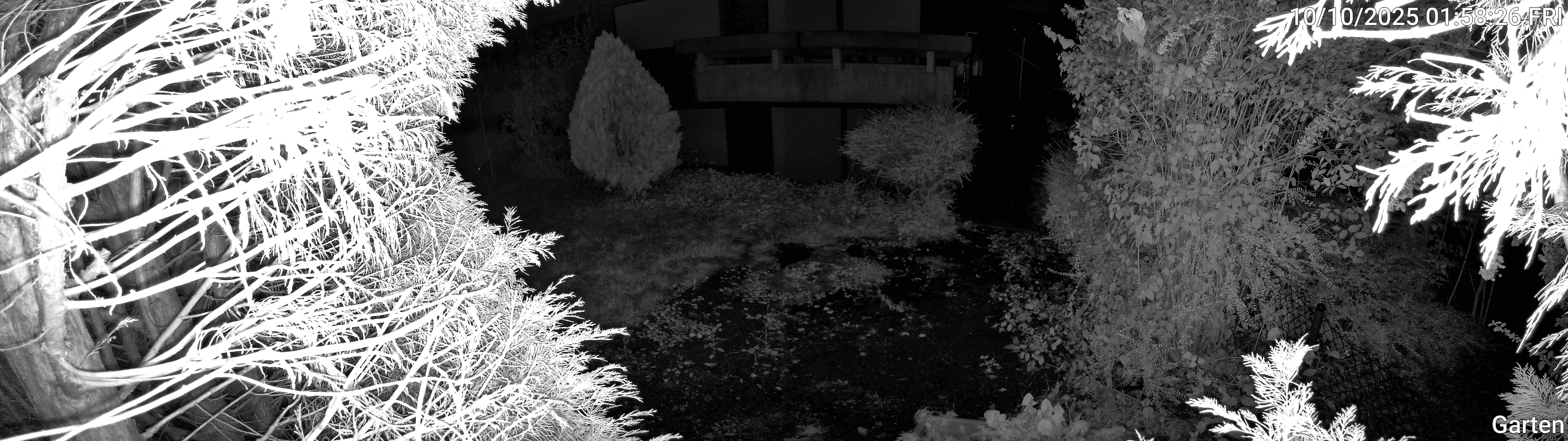 Garten_00_20251010015826.jpg