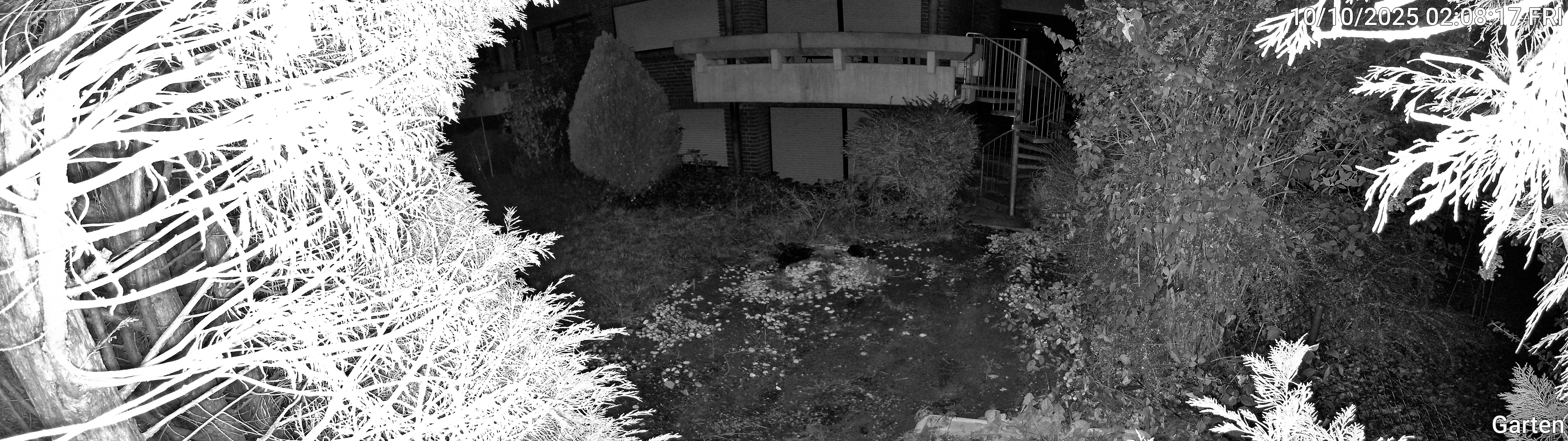 Garten_00_20251010020817.jpg