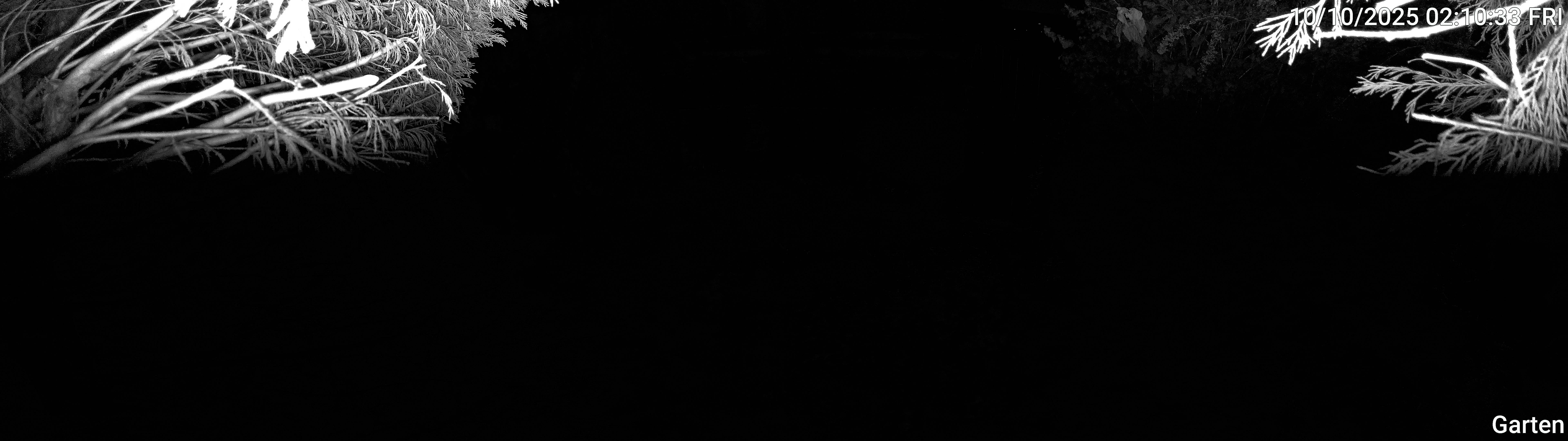 Garten_00_20251010021033.jpg