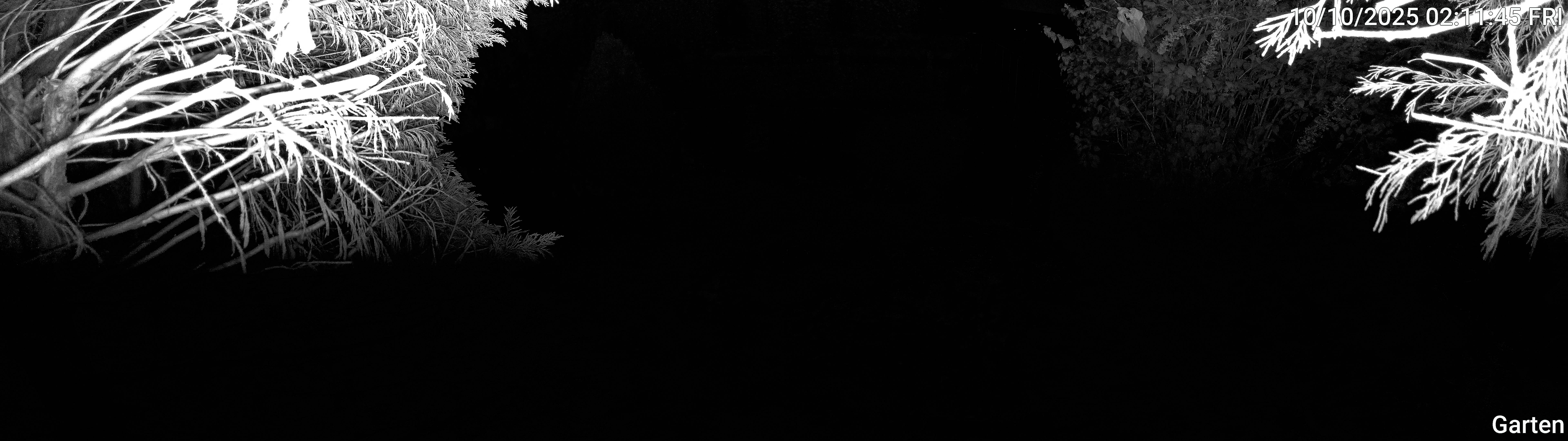 Garten_00_20251010021145.jpg