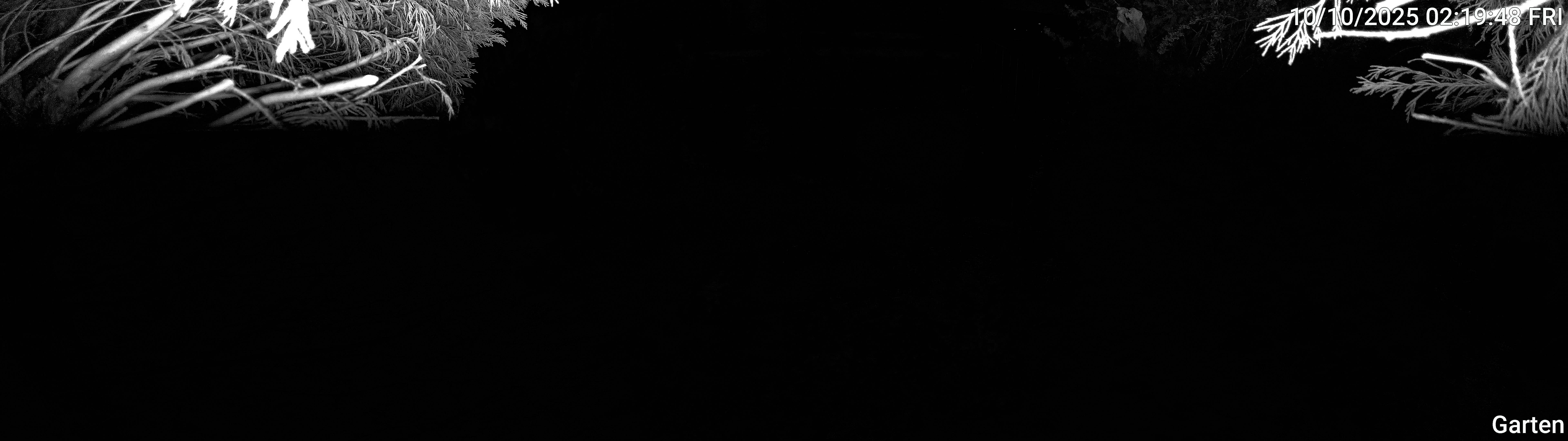 Garten_00_20251010021948.jpg