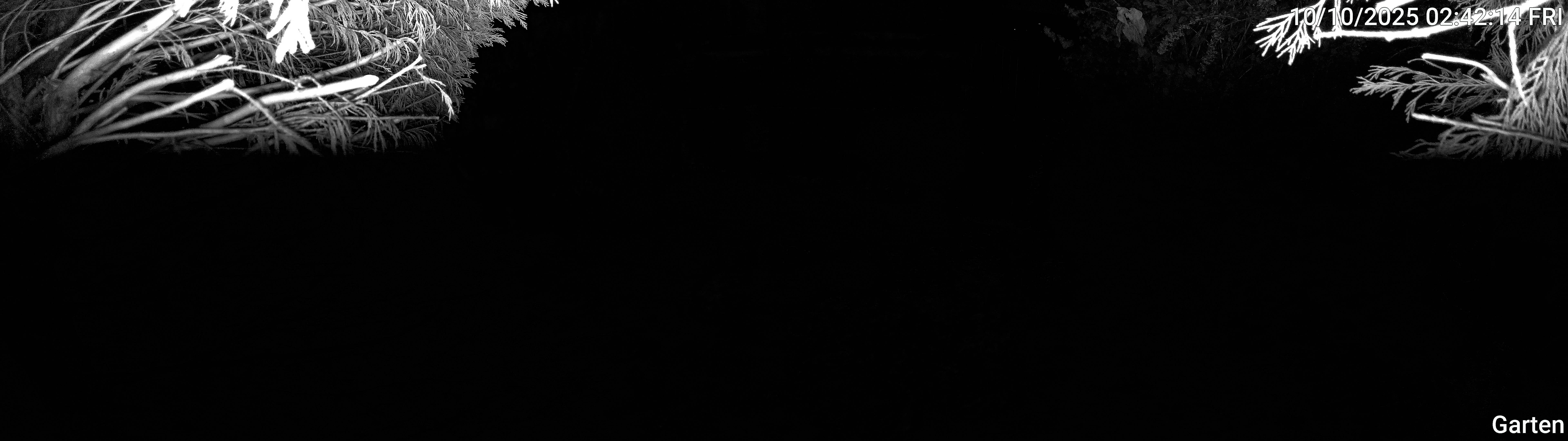 Garten_00_20251010024215.jpg
