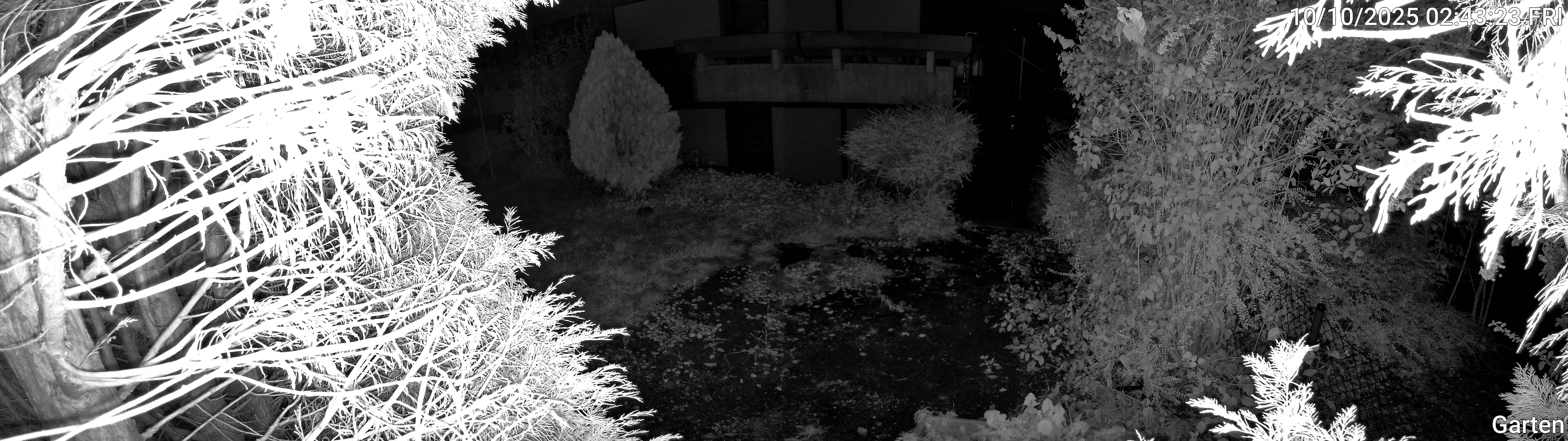 Garten_00_20251010024323.jpg