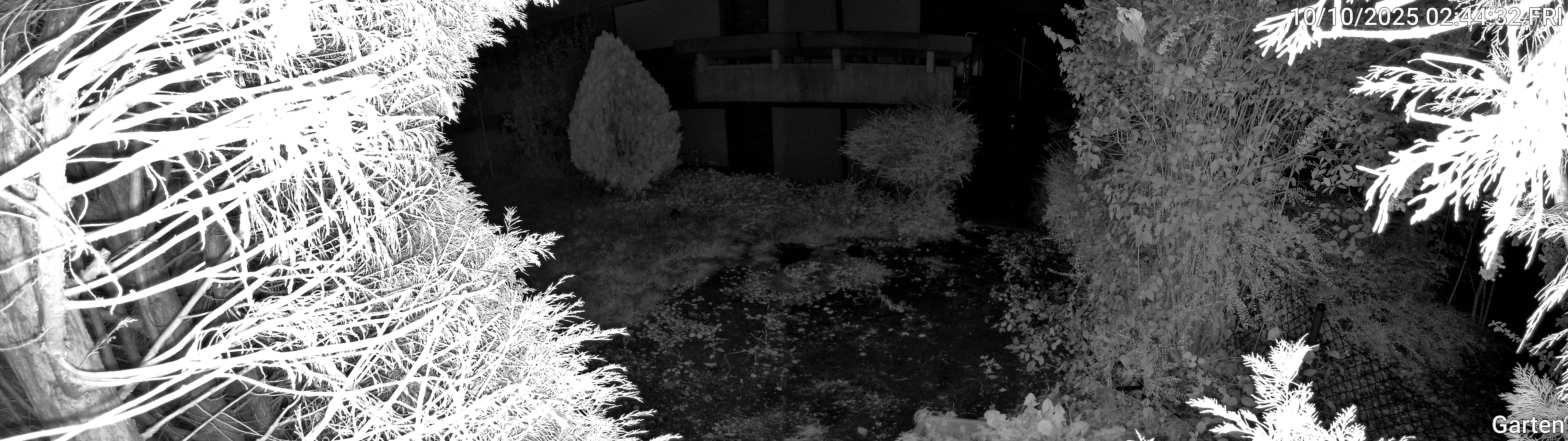 Garten_00_20251010024432.jpg
