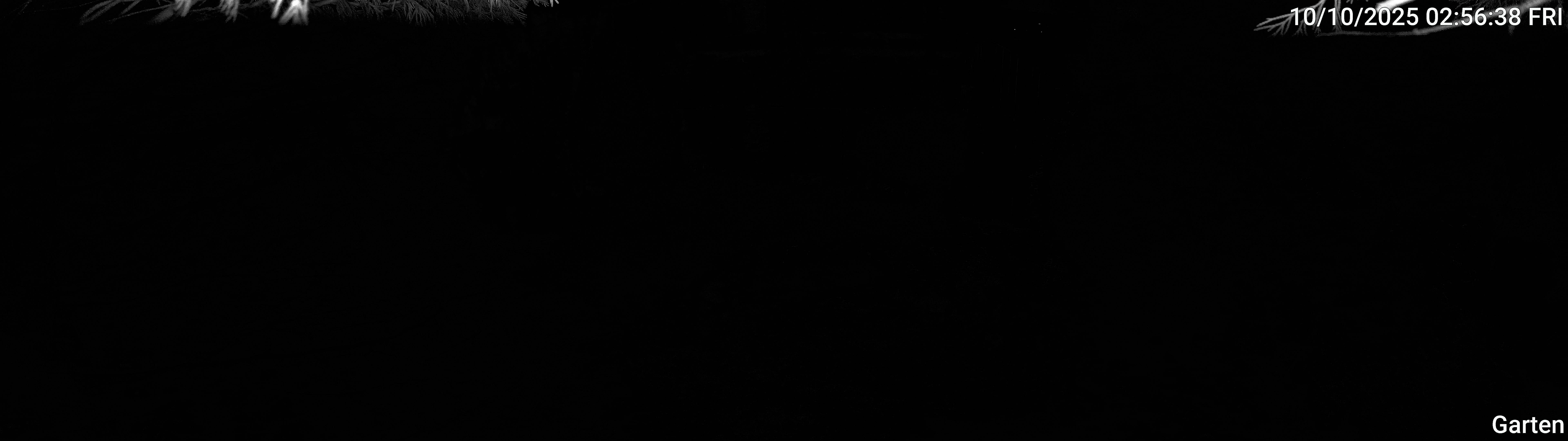 Garten_00_20251010025639.jpg
